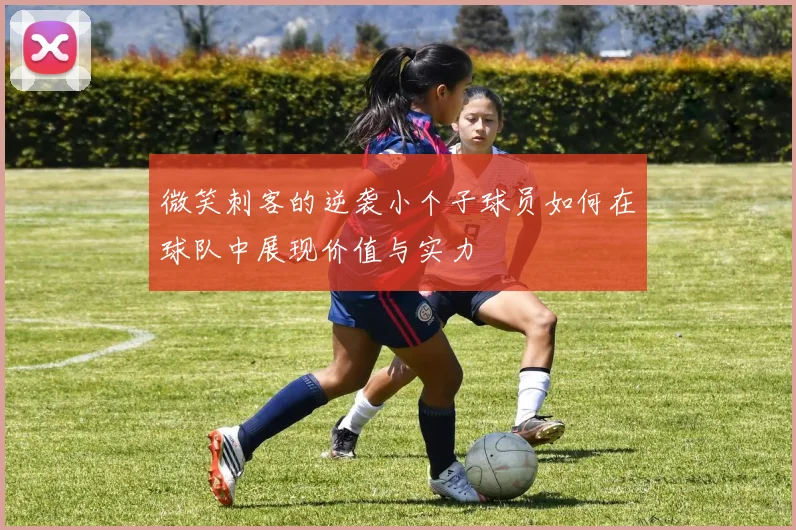 微笑刺客的逆袭小个子球员如何在球队中展现价值与实力