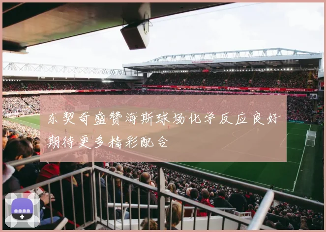 东契奇盛赞海斯球场化学反应良好期待更多精彩配合