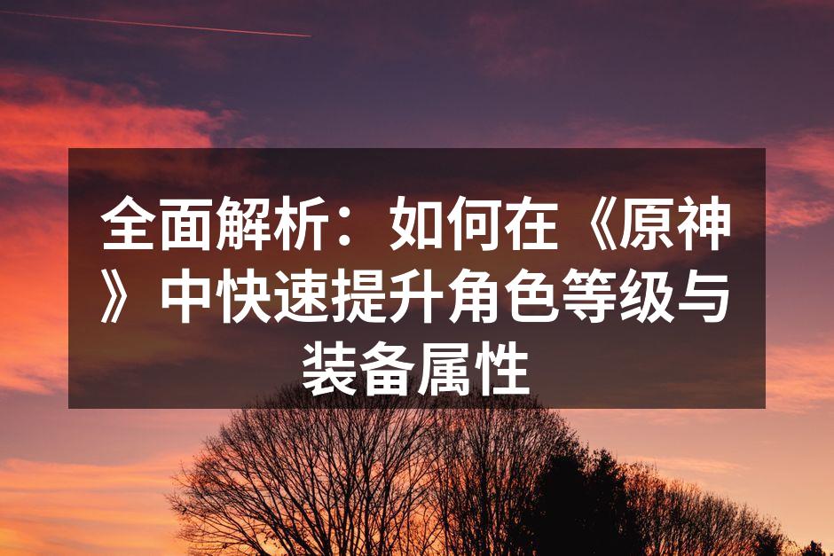 全面解析：如何在《原神》中快速提升角色等级与装备属性